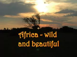 Africa - wild and beautiful