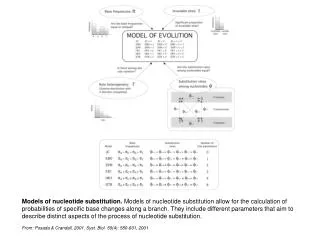 From: Posada &amp; Crandall, 2001. Syst. Biol. 50(4): 580-601, 2001