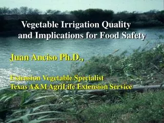 Vegetable Irrigation Quality and Implications for Food Safety Juan Anciso Ph.D.,