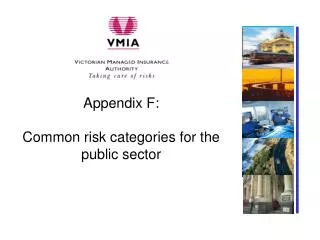 Appendix F: Common risk categories for the public sector