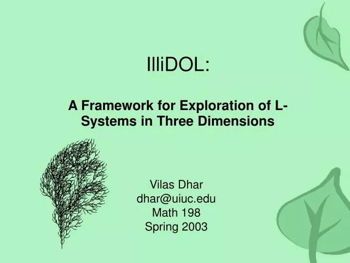 illidol a framework for exploration of l systems in three dimensions