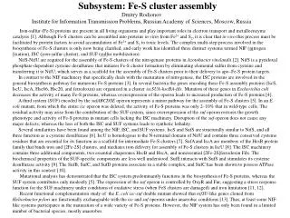 Subsystem: Fe-S cluster assembly