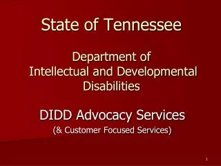 State of Tennessee Department of Intellectual and Developmental Disabilities
