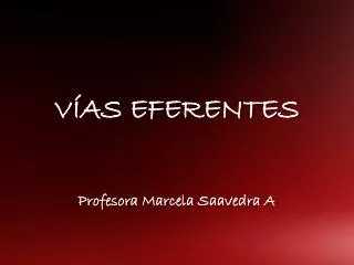 v as eferentes