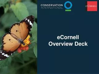 eCornell Overview Deck