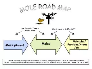 MOLE ROAD MAP