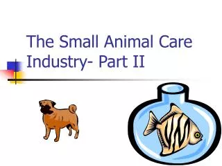 The Small Animal Care Industry- Part II