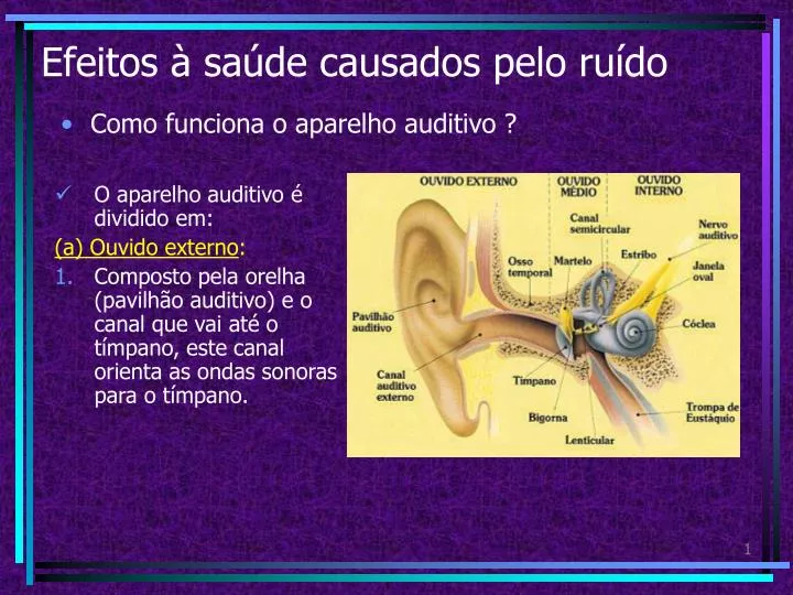 efeitos sa de causados pelo ru do