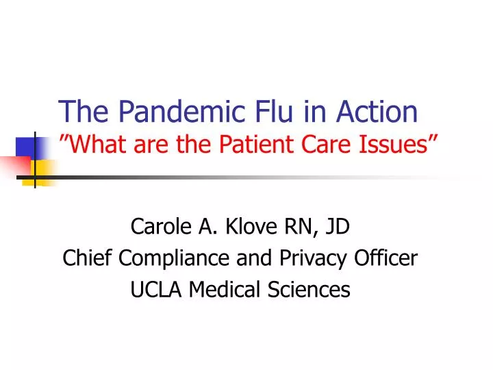 the pandemic flu in action what are the patient care issues