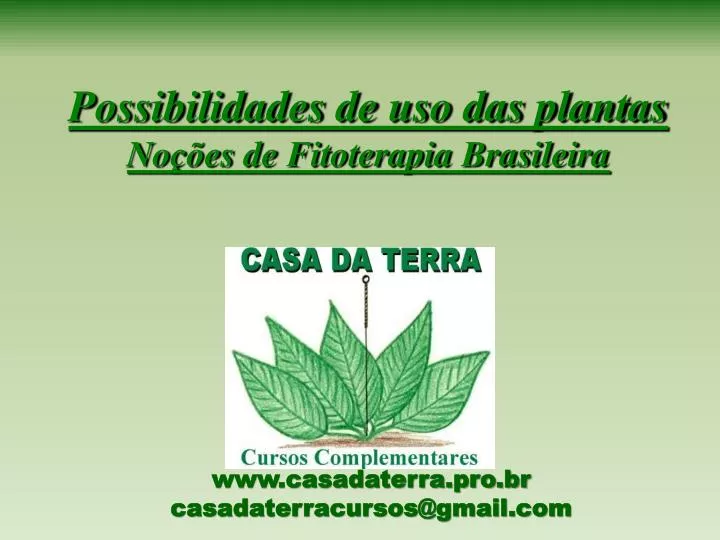 possibilidades de uso das plantas no es de fitoterapia brasileira