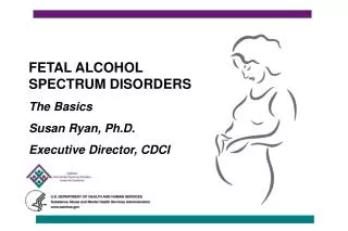 FETAL ALCOHOL SPECTRUM DISORDERS The Basics Susan Ryan, Ph.D. Executive Director, CDCI