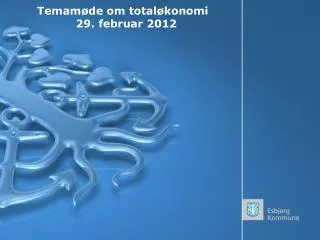 temam de om total konomi 29 februar 2012