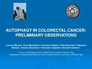 AUTOPHAGY IN COLORECTAL CANCER: PRELIMINARY OBSERVATIONS