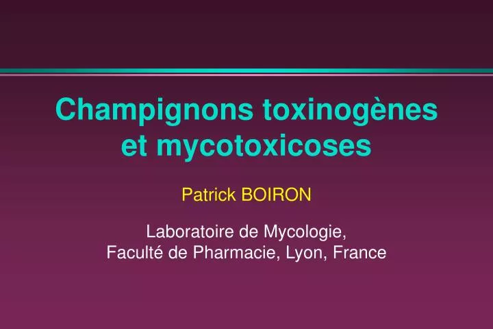 champignons toxinog nes et mycotoxicoses
