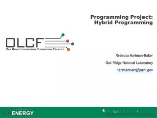 Programming Project: Hybrid Programming