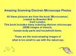 Amazing Scanning Electron Microscope Photos - slide 1