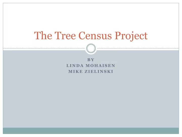 the tree census project