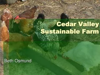 Cedar Valley Sustainable Farm