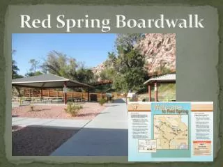 Red Spring Boardwalk