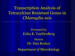 Transcription Analysis of Tetracylcine Resistant Genes in Chlamydia suis