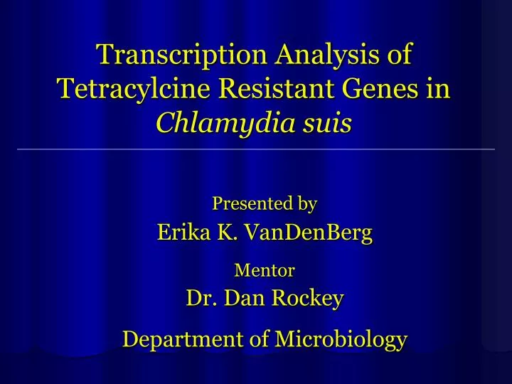 transcription analysis of tetracylcine resistant genes in chlamydia suis
