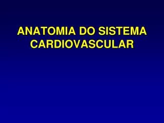 anatomia do sistema cardiovascular