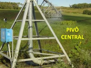 piv central