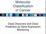 PPT - Molecular Mechanism Of Cancer Metastasis PowerPoint Presentation ...