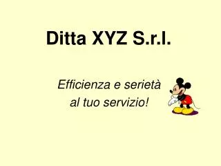 ditta xyz s r l