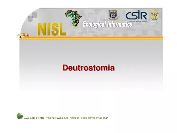 deutrostomia