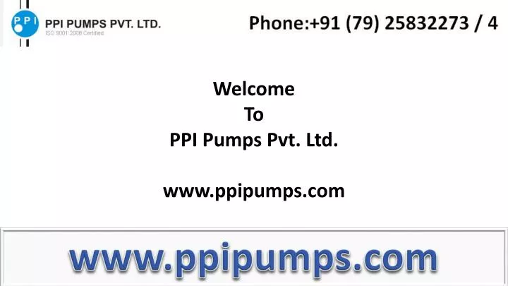 www ppipumps com