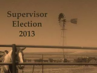 supervisor election 2013