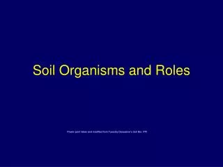 Soil Organisms and Roles