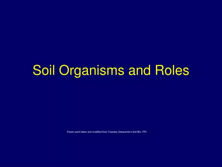 soil organisms and roles