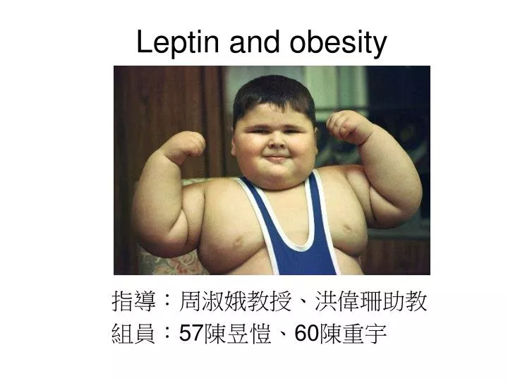 leptin and obesity