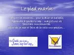 Le pied marin - slide 1