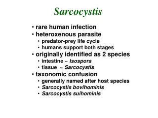 Sarcocystis