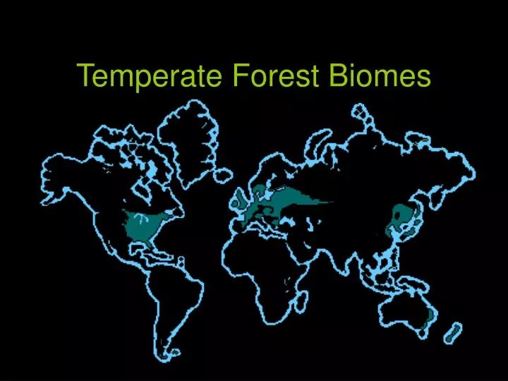 temperate forest biomes