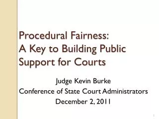 Procedural Fairness: A Key to Building Public Support for Courts