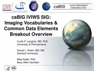 caBIG IVIWS SIG: Imaging Vocabularies &amp; Common Data Elements Breakout Overview