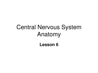 Central Nervous System Anatomy