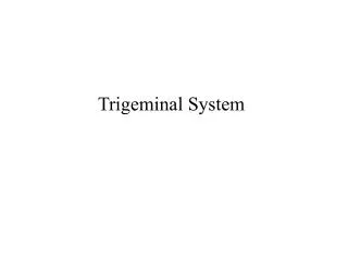 Trigeminal System