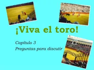 viva el toro