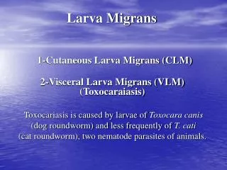 Larva Migrans