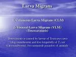Larva Migrans - slide 1