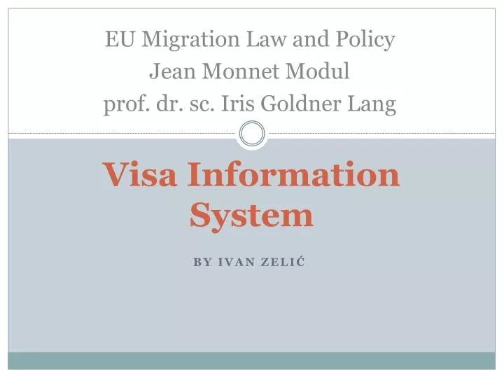 visa information system