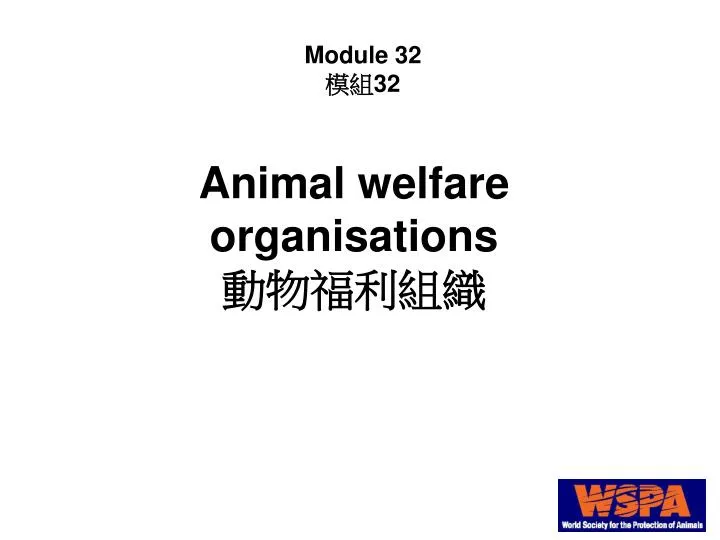 animal welfare organisations