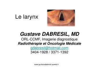 le larynx