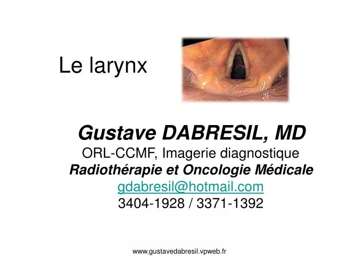 le larynx