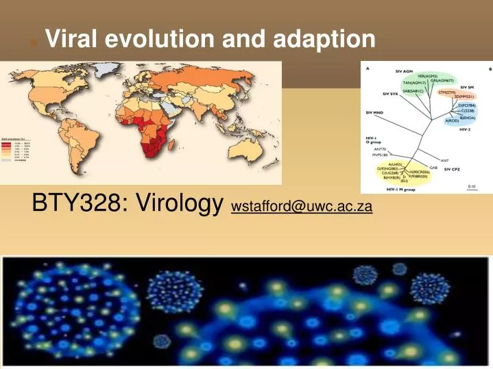 viral evolution and adaption